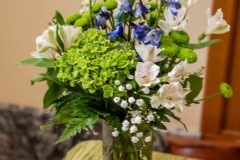 DSC_5479 DSC_5479